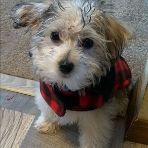 Meet your Posher, Eric